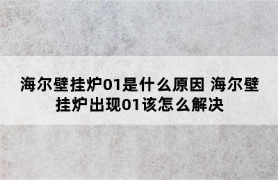 海尔壁挂炉01是什么原因 海尔壁挂炉出现01该怎么解决